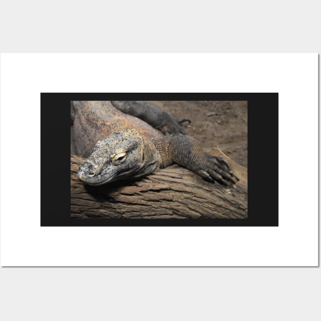 Komodo Dragon Wall Art by Sharonzoolady